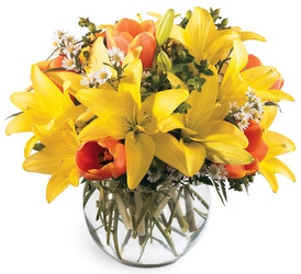 All Is Bright Bouquet<b> from Flowers All Over.com 